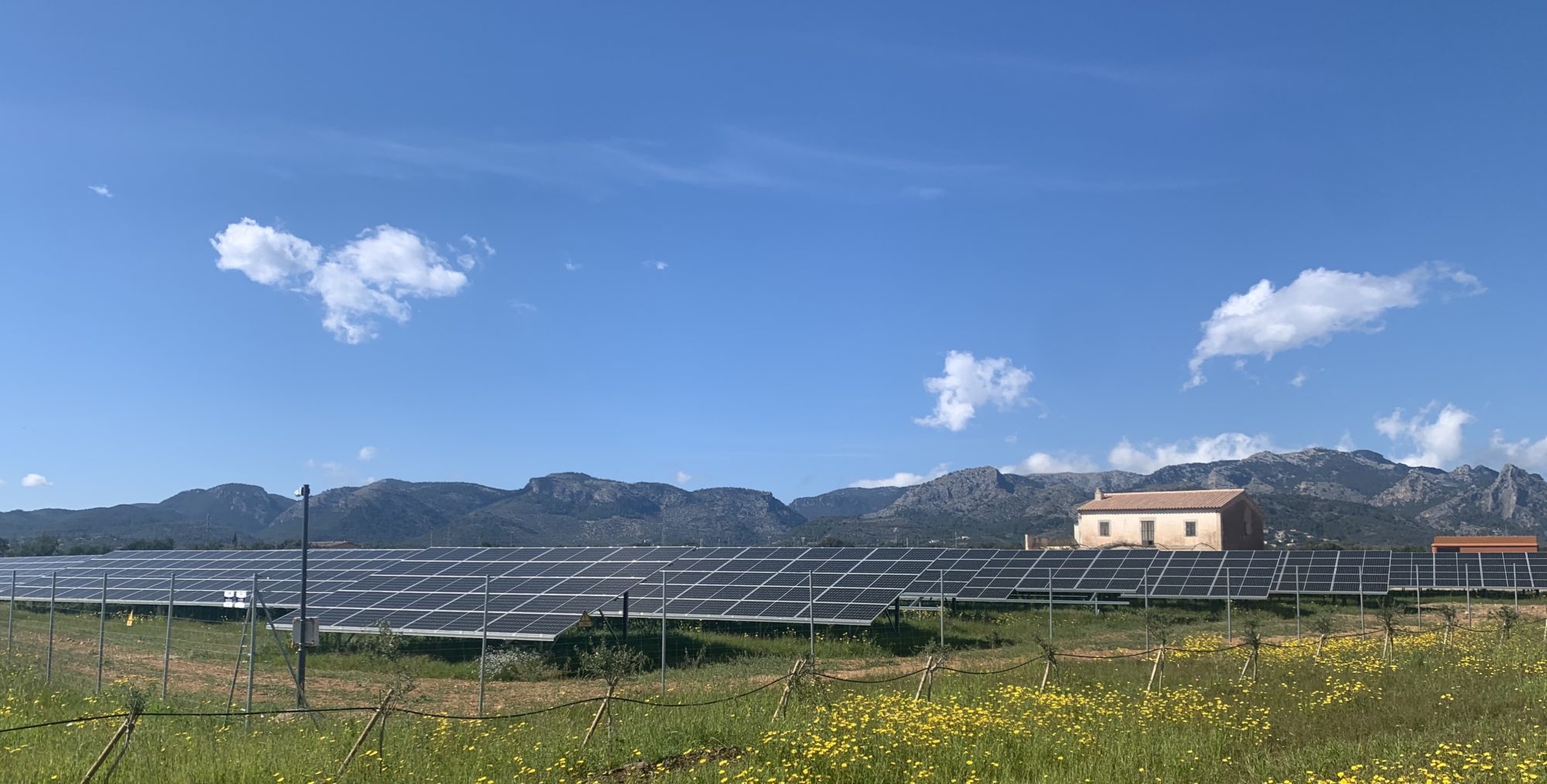 Solar field in rural Mallorca, Spain